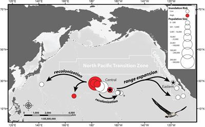 Successful Long-Distance Breeding Range Expansion of a Top Marine Predator